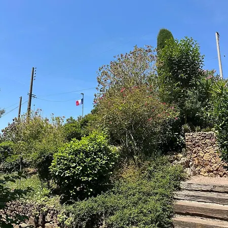 Charming 22m2 With Terrace In Saint-raphael דירה